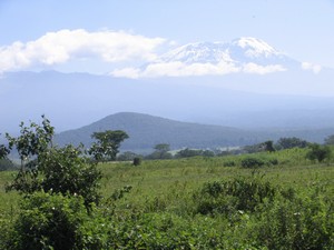 Kilimanjaro